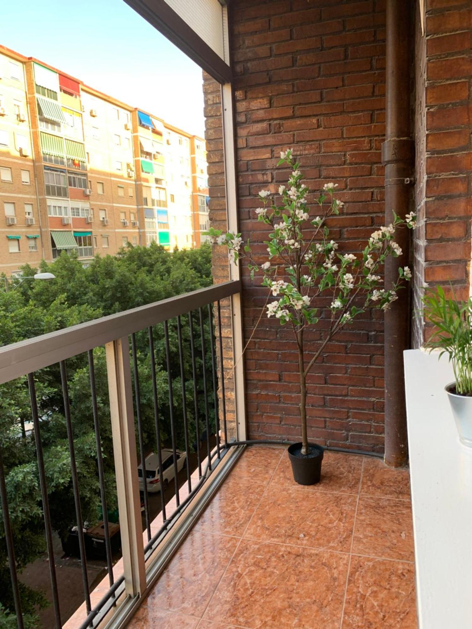 Bueno, Bonito Y Barato Leilighet Málaga Eksteriør bilde